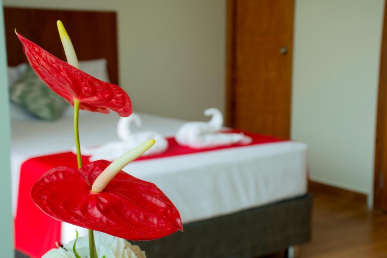 Hotel La Palmera De Oro タラポト エクステリア 写真